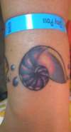 nautilus shell tattoo