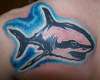 sharks tattoo