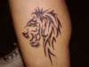 My Tribal Lion tattoo
