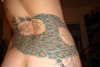 Other half of my peacock tattoo