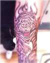 Tiger By: Chi-Roc tattoo