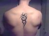 tribal tattoo