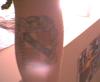 Coat of Arms tattoo