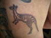 Kangeroo tattoo
