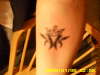 cotten mouth king tat tattoo