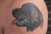 my rottweiler tattoo