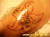 this is on my sisters foot its like my 5th tattoo