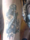 dragon tattoo