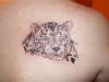 big cats tattoo