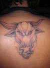 bull tattoo