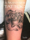 JoeC.Rose tattoo