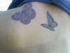 butterflies tattoo