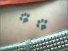 kitten paws tattoo