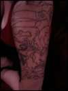 Rainforest 1/2 Sleeve tattoo