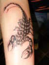 scorpion tattoo