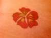 hibiscus tattoo