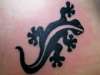anole tattoo