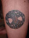 Celtic Tree of Life tattoo