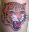 color tiger tattoo