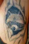 coon pit tattoo