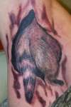 coon tail tattoo