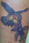 humming bird tattoo