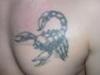scorpion tattoo