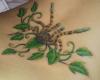Poecilotheria regalisTat tattoo
