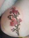 Cherry Blossoms tattoo