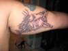 hogfish skeleton tattoo