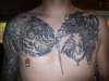 chest tattoo