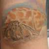 Hermit Crab tattoo