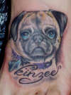 kinzee pup tattoo