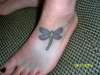 my dragonfly on my left foot tattoo