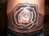Rose stomach tattoo
