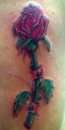 threaded rose tattoo
