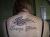 Carpe DIem swallow tattoo