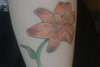 Wild Tiger Lily tattoo