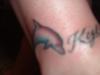 jenn's dolphins tattoo