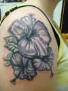 Hibiscus flower on shoulder tattoo
