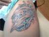 Dolphins tattoo