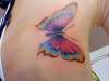 large butterfly cover-up tattoo