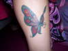 Butterfly - different view tattoo