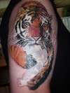 Tiger running through water tattoo