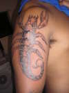 scorpion??lol tattoo
