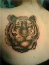 tiger tattoo tattoo