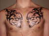 Tribal skull chest piece tattoo