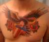 Traditional Eagle Chest Piece tattoo