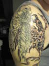 eagle, feather, phoenix tattoo
