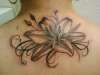Lily flower tattoo